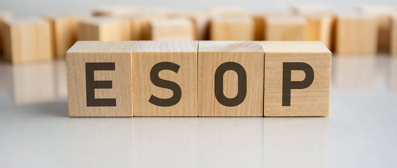 <p>ESOP Disclosure</p>