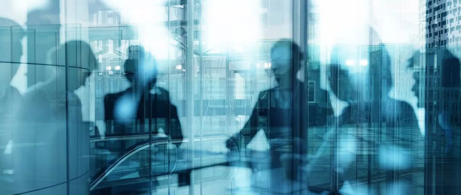 <p>Shareholders Meeting</p>