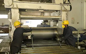 Introduced value-added products at the Jaipur facilit